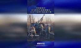 美国雇佣兵爆料视频,揭秘战地真实内幕