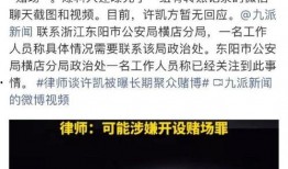 许凯被谁爆料了啊视频,许凯被神秘人物爆料视频引发热议